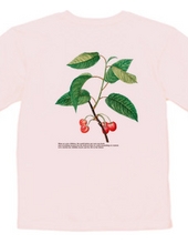 Cherry T-shirt