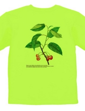 Cherry T-shirt