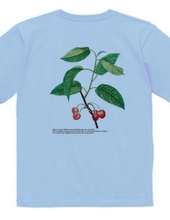 Cherry T-shirt