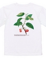 Cherry T-shirt