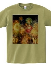 Photo T (Photo Print T-shirt) Fireworks