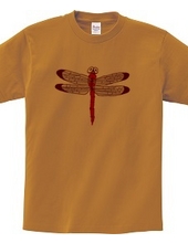 Red dragonfly