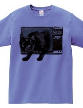 Black Cat TV