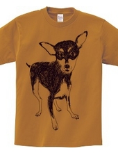 Miniature Pinscher design