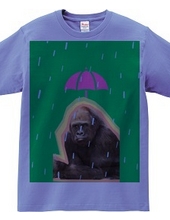 Gorilla downpour