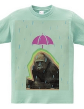 Gorilla downpour