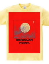 singular point