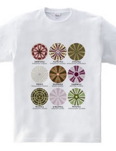 Sea Urchin Shell Motif Design Encyclopedia Vol.1(Front Print