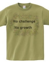 No Challenge No Growth