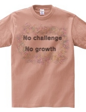 No Challenge No Growth