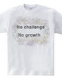 No Challenge No Growth