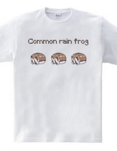 Three Common rain frog in a row