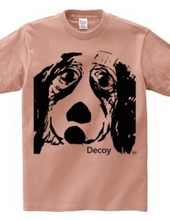 decoy