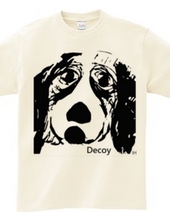 decoy