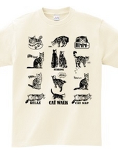 CATS_2KW