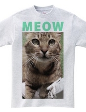 MEOW