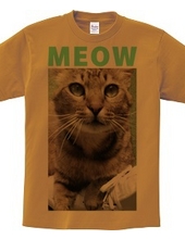 MEOW