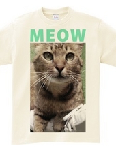 MEOW