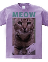 MEOW