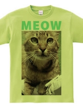 MEOW