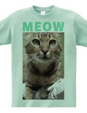 MEOW