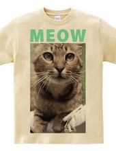 MEOW