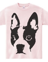 Boston Terrier Stencil