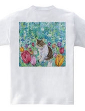 Cats and tulips