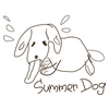 Summer dog