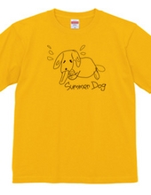 Summer dog