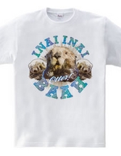 Inai sea otter