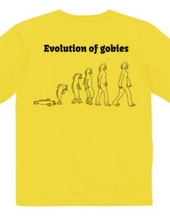 evolution of gobies