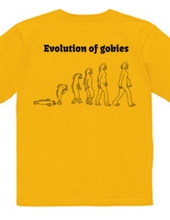 evolution of gobies