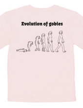 evolution of gobies