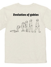 evolution of gobies