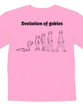 evolution of gobies