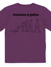 evolution of gobies