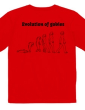 evolution of gobies