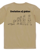 evolution of gobies