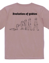 evolution of gobies