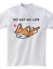 NO CAT NO LIFE 