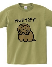 mastiff