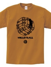 VOLLEYBALL -cat ball