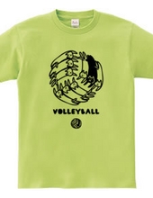 VOLLEYBALL -cat ball