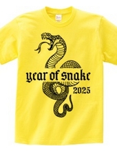 Year of the Snake 2025