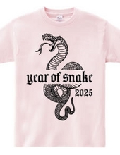 Year of the Snake 2025