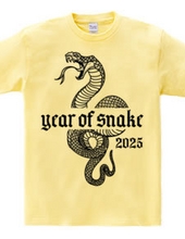 Year of the Snake 2025